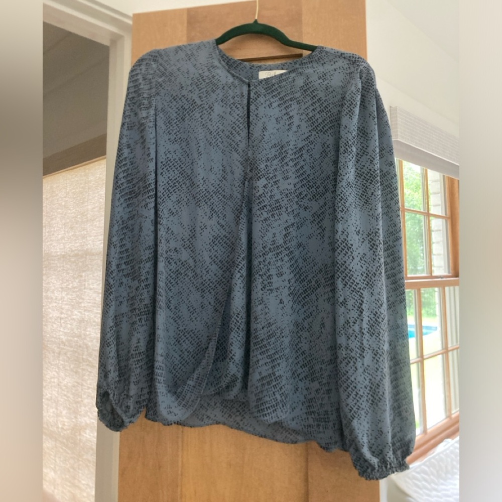 Parker Blue Snake Print Silk Blouse